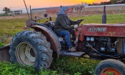 Ettihad Ayyad, wanita Palestin pertama dan tertua miliki lesen traktor