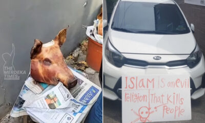 Halang bina masjid, penduduk Daehyeon-dong protes guna kepala babi