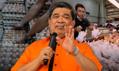 Bekalan ayam, telur dalam fasa pemulihan -  Mat Sabu