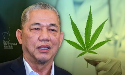 Bincang dengan KKM nilai perubatan kanabis, ketum - Fadillah
