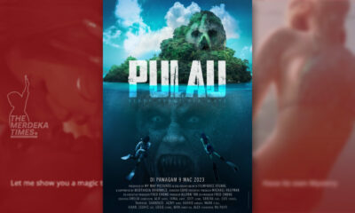 Susulan kontroversi trailer filem Pulau yang dikatakan berunsur "lucah, pornografi ringan dan tidak sesuai" timbul pertikaian jika saringan daripada Lembaga Penapisan Filem tidak cukup ketat.