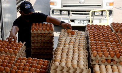 Subsidi telur ayam diteruskan hingga Jun 2023