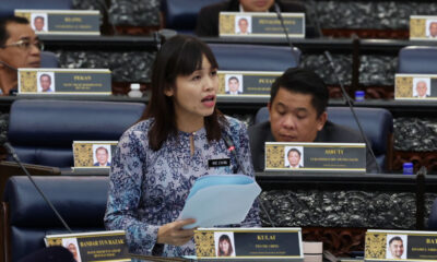 Kebebasan bersuara tidak bermaksud boleh sebar fitnah – Nie Ching