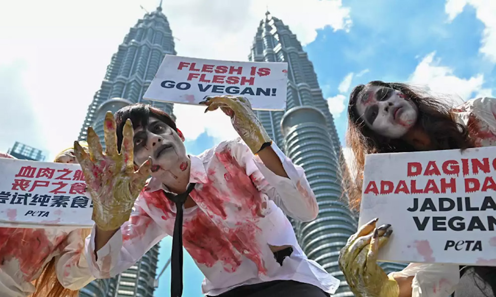 Aktivis PETA jadi ‘zombi’ promosi veganisme di KLCC