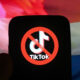 Belanda haram penjawat awam guna TikTok untuk tugasan rasmi