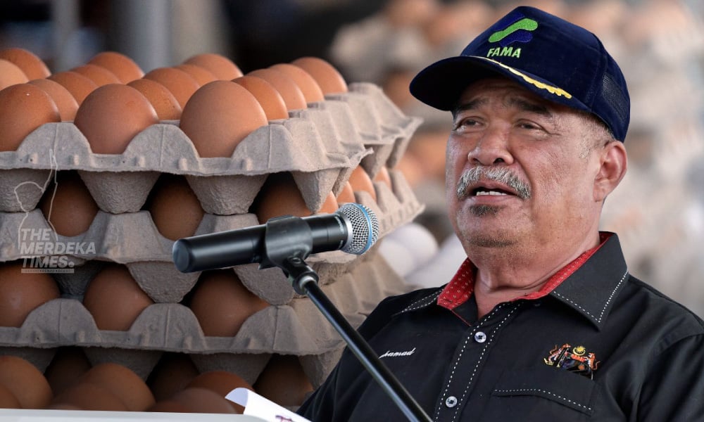 Jika pengeluaran telur stabil, kita akan 'stop import’ – Mat Sabu