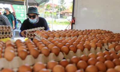 Terengganu berdepan kekurangan bekalan telur ayam