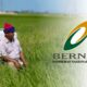 BERNAS salur RM20 juta lagi untuk pesawah di empat negeri