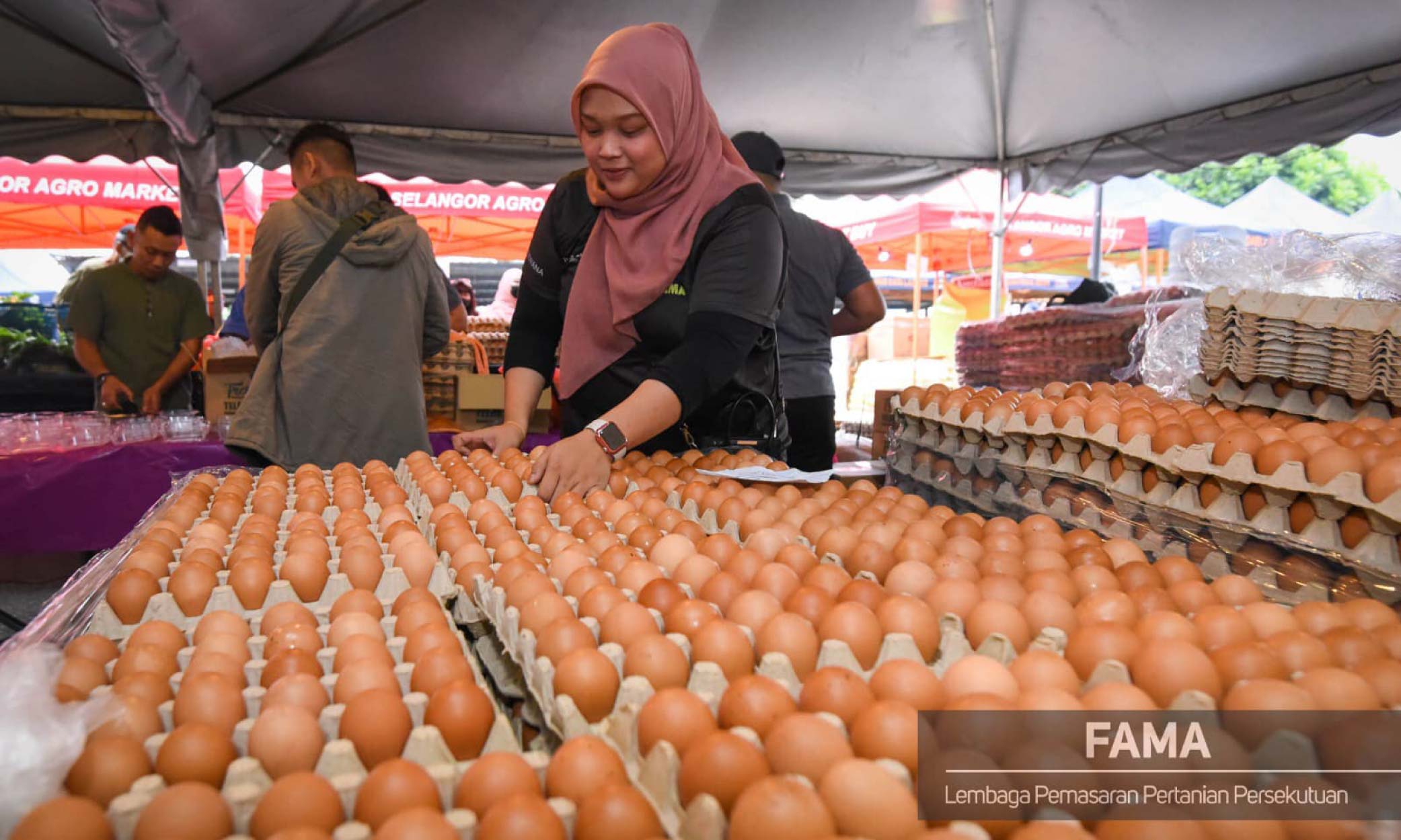 FAMA bekal 1.2 juta telur ayam sempena Aidilftri