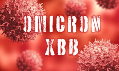 Subvarian baharu Omicron XBB.1.16 cetus kebimbangan kerana penularan tinggi