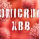 Subvarian baharu Omicron XBB.1.16 cetus kebimbangan kerana penularan tinggi