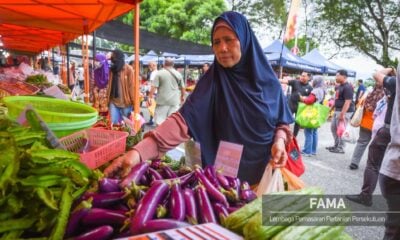 fama-buka-103-pasar-tani-jualan-khas-syawal-madani-mulai-15-april