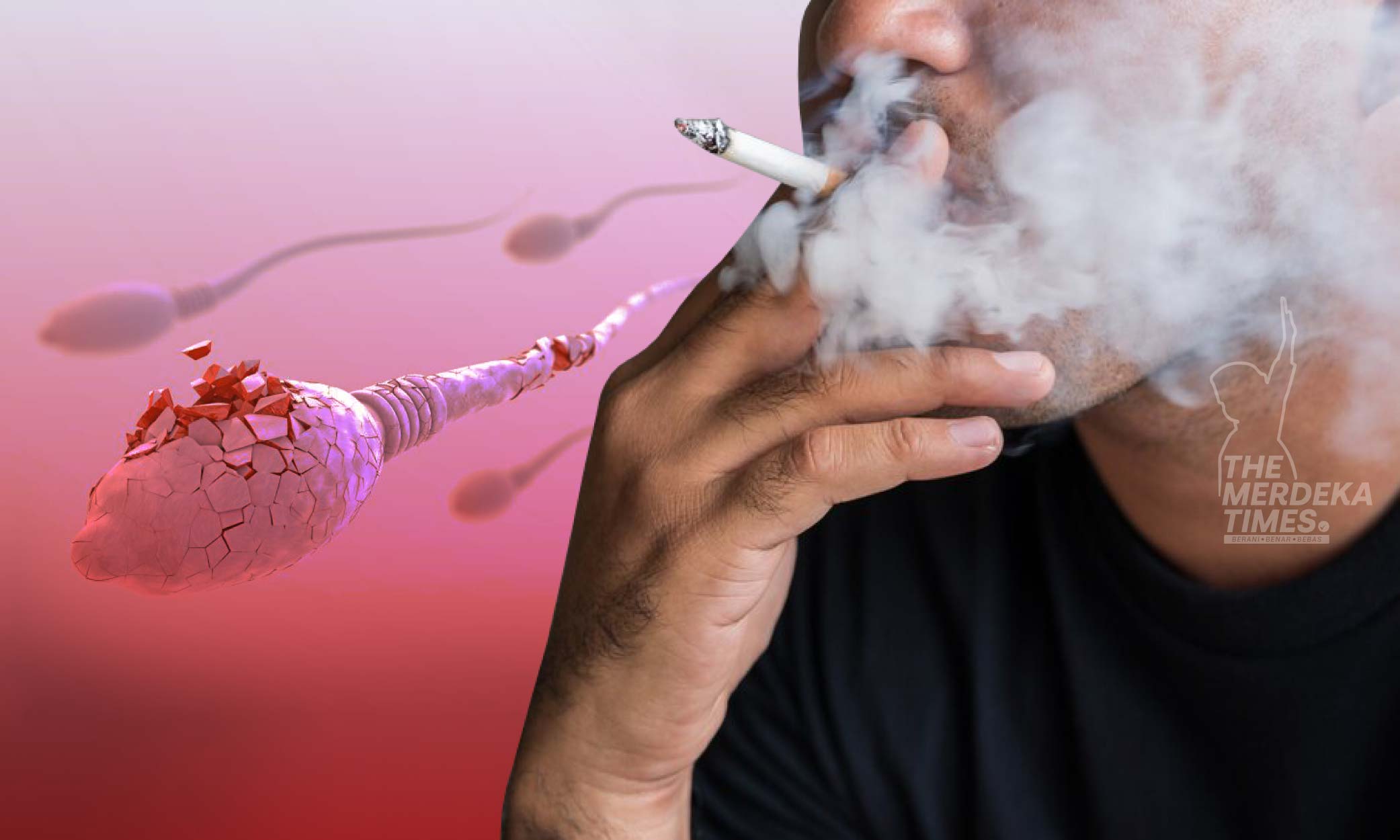 Merokok, vape punca utama masalah kesuburan lelaki Malaysia – Pakar