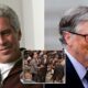 Aktivis pelabur ditahan kerana cuba dedah sisi buruk Bill Gates