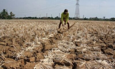 Kerajaan, rakyat perlu bersedia awal hadapi ramalan El Nino kuat Jun ini