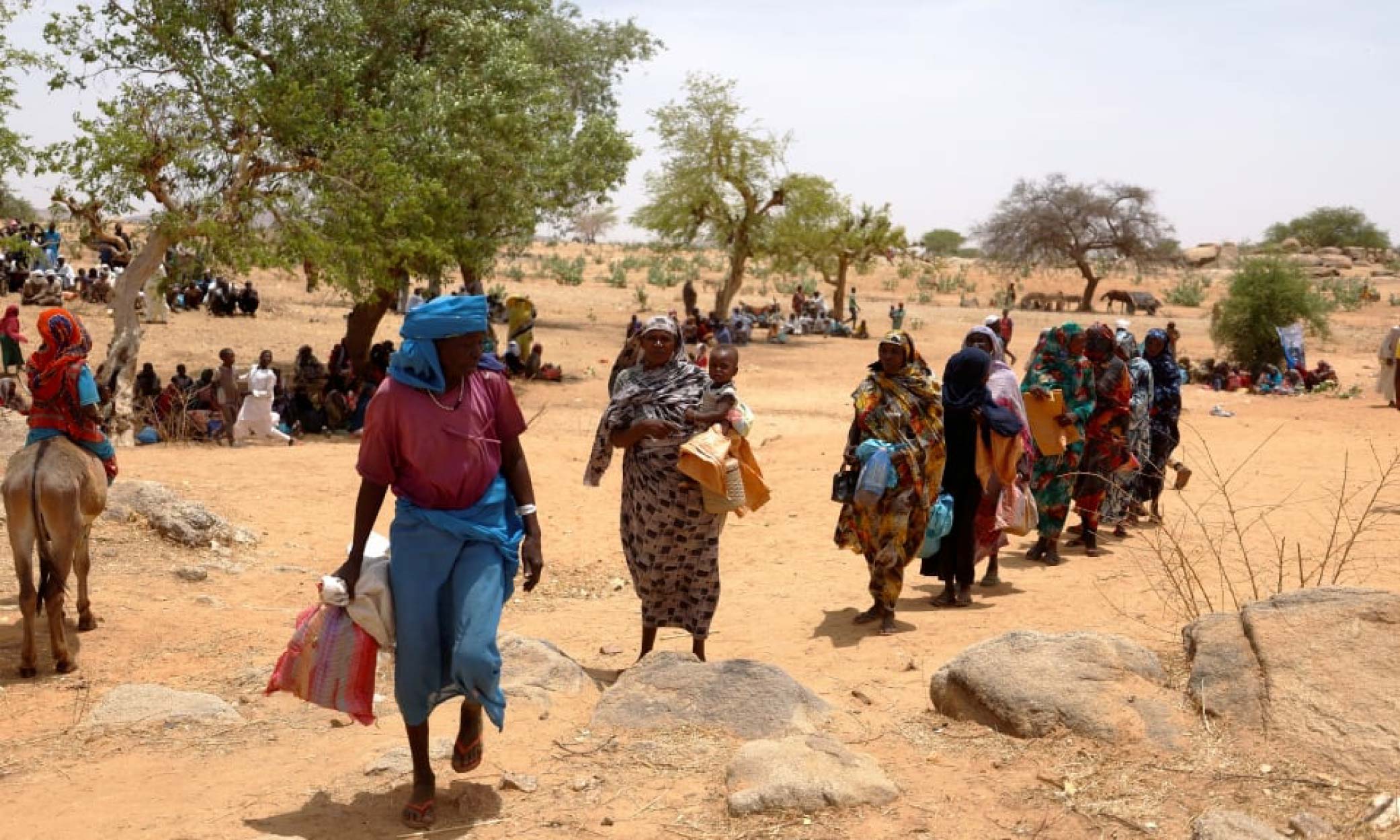 Lebih 843,000 penduduk Sudan hilang tempat tinggal – IOM