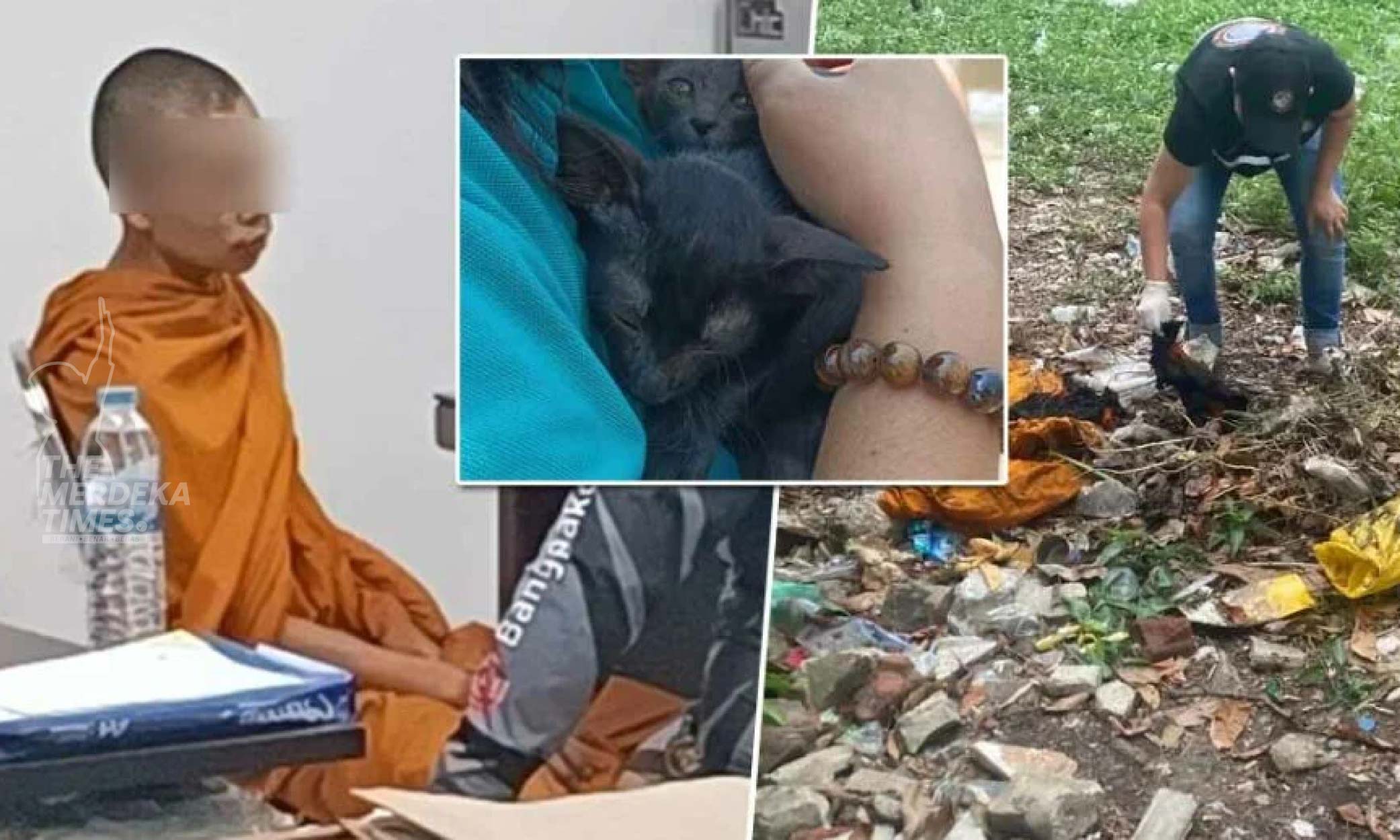 Sami Buddha di Thailand pukul, bakar hingga mati 18 ekor kucing