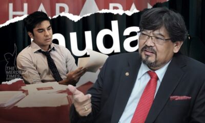 MUDA kurang tarikan, tiada prestasi punca tidak diterima PH – Profesor Sains Politik