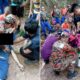 Pengurus kilang percetakan maut ketika mendaki gunung bersama isteri