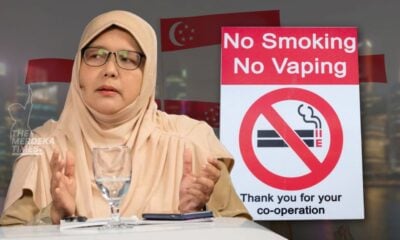 Malaysia perlu haramkan vape seperti Singapura – Profesor Dr Rafidah Hanim