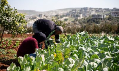 Zionis Israel rosakkan tanaman, cemar air minuman penduduk Palestin