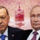 Erdogan, Putin bincang mengenai perjanjian gandum