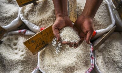 Kenaikan harga beras gugat penduduk miskin Indonesia 