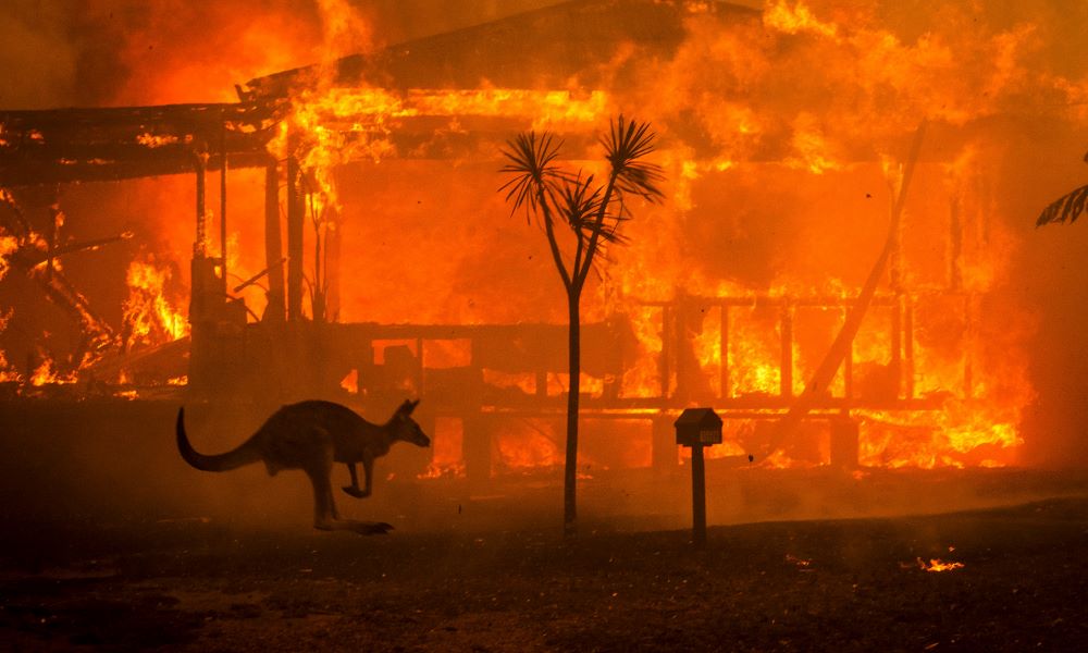 Australia larang lakukan pembakaran 