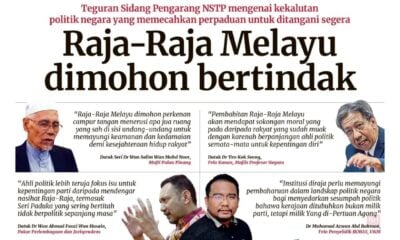 Kekalutan politik: Raja-Raja Melayu dimohon selamatkan negara