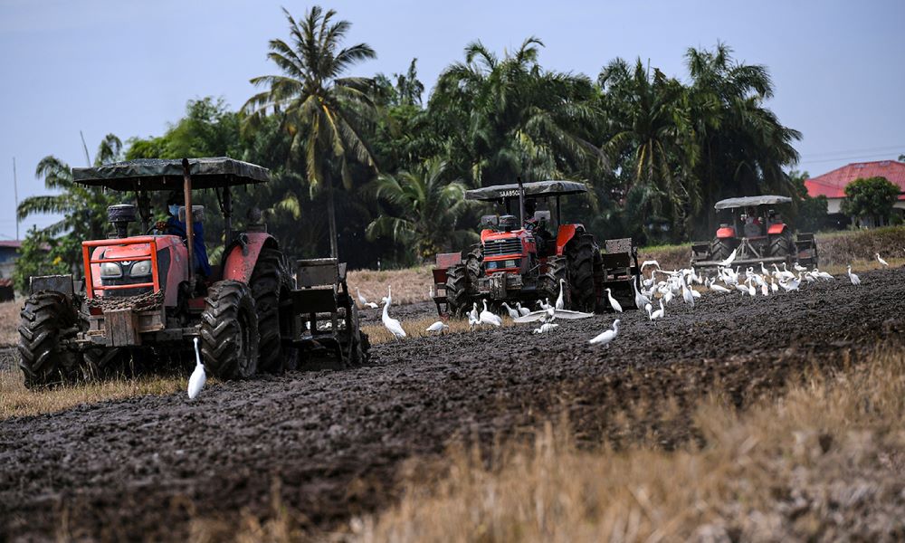 Tukar status tanah pertanian beri implikasi kepada keterjaminan makanan