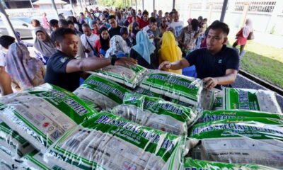 Pembelian panik antara punca bekalan beras tempatan berkurangan - EXCO Johor