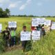 Kecelaruan industri padi, beras negara sudah tahap kronik dan ‘gila’ – PeSAWAH
