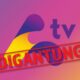 Awesome TV digantung siaran berkuat kuasa 2 November