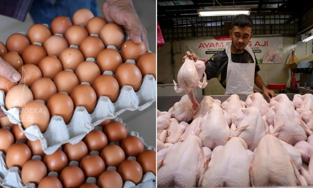 Boleh apungkan harga telur, ayam tapi jangan terlalu tinggi  