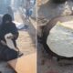 Wanita Palestin buat roti di jalanan selepas rumah dibom, dimusnahkan rejim Israel