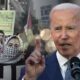 Joe Biden akan tangani Islamofobia ketika perang Palestin-Israel