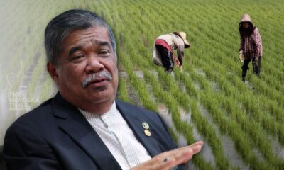 Pangkalan data raya rekod, daftar petani di Malaysia bakal diwujudkan - KPKM