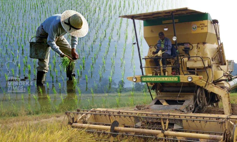 KPKM nafi wujud ‘mafia’ tentukan harga padi, beras dan benih padi