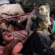 Keruntuhan sistem penjagaan kesihatan di Gaza masih berterusan – Mads Gilbert